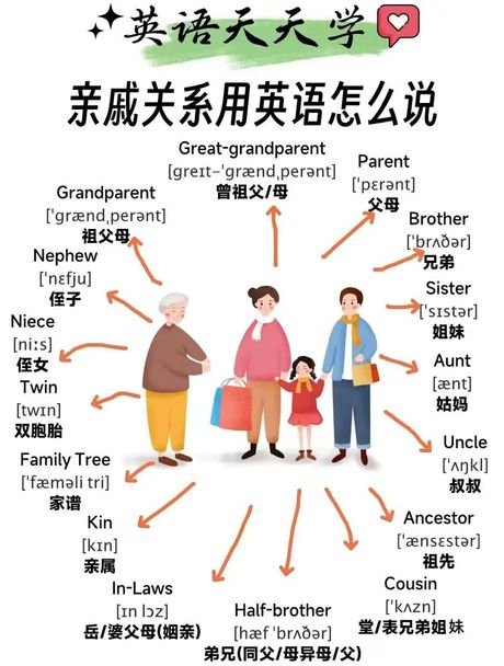 家人英文，家人英文怎么说？Family 的多种含义