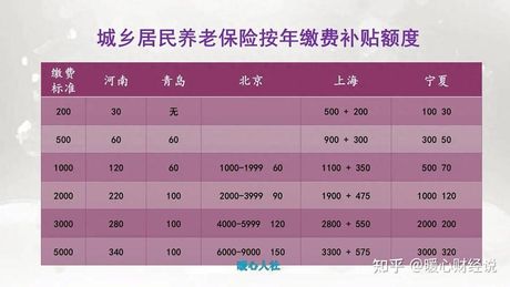 济南市人力资源和社会保障局，济南市人力资源和社会保障局为城乡居民提供养老保险服务