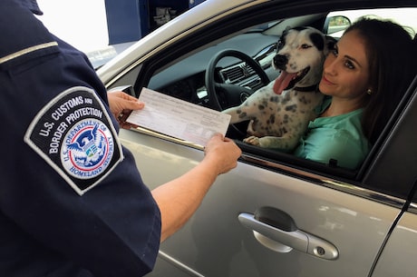 揭秘狂犬病传播途径！这些方式你必须知道！