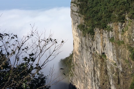 震惊！妖师鲲鹏出现在青城山！惊险一幕全记录