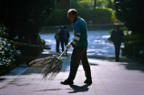 tomb sweeping(清明节祭扫: 怀念先人，缅怀历史)