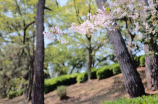 大悲寺(探秘大悲寺：净土在人世)