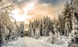 北京的雪景又美出新高度（北京的雪景美不胜收，雪地流动尽享兴趣）