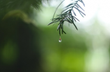 今日河南信阳天气预告：局部小雨降温，出门记得带伞！